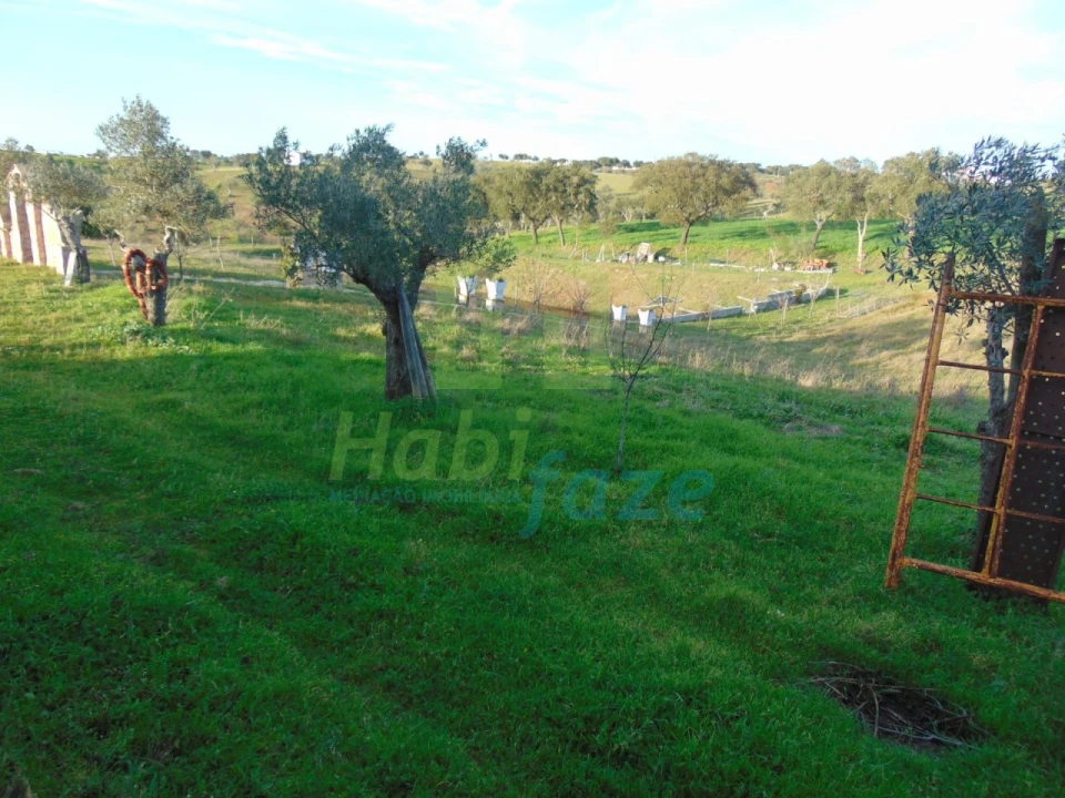 Quinta T3 para Venda em Nossa Senhora de Machede Foto 28