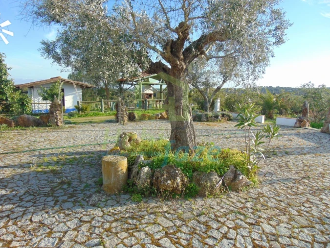 Quinta T3 para Venda em Nossa Senhora de Machede Foto 2