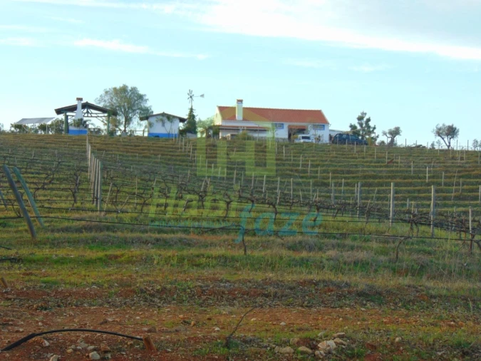 Quinta T3 para Venda em Nossa Senhora de Machede Foto 4