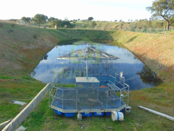 Quinta T3 para Venda em Nossa Senhora de Machede Foto 22