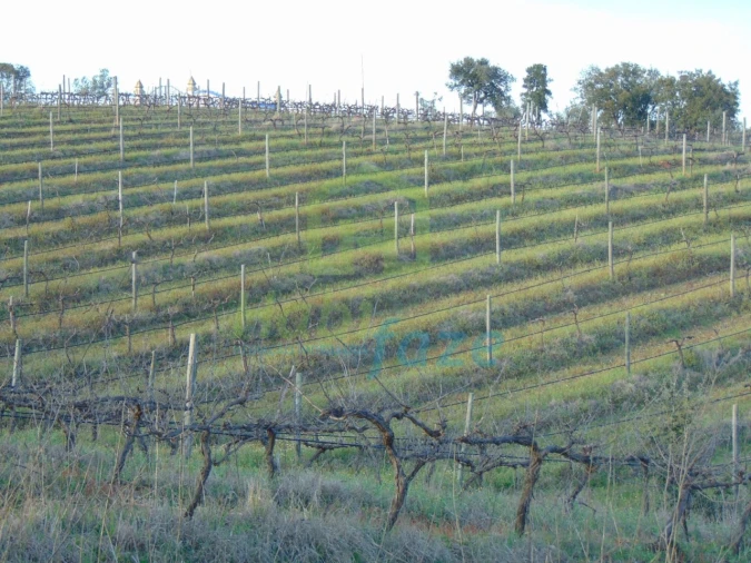 Quinta T3 para Venda em Nossa Senhora de Machede Foto 3