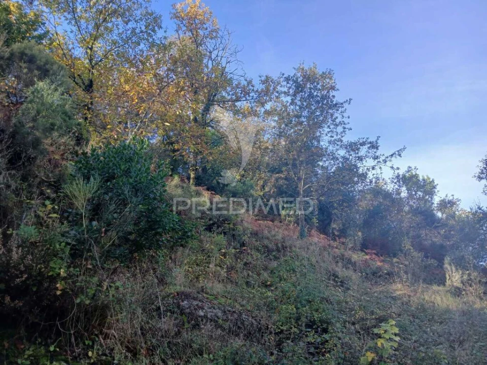 Terreno para Venda em Anissó e Soutelo Foto 3