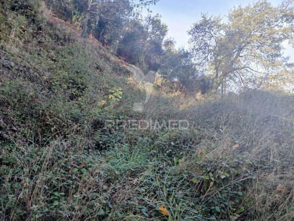 Terreno para Venda em Anissó e Soutelo Foto 5