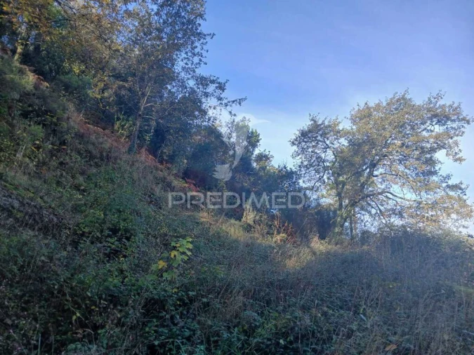 Terreno para Venda em Anissó e Soutelo Foto 4