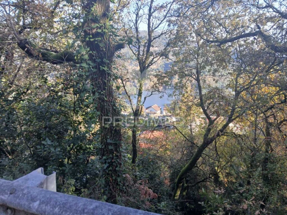 Terreno para Venda em Anissó e Soutelo Foto 1