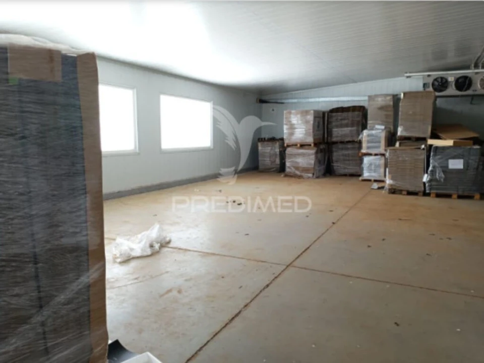 Armazém para Venda em Valongo do Vouga Foto 4