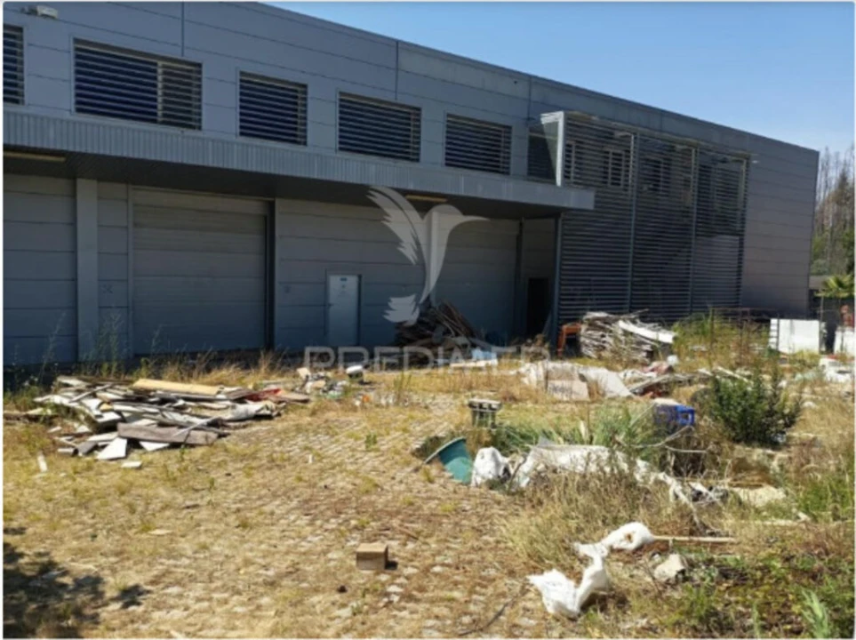 Armazém para Venda em Valongo do Vouga Foto 3