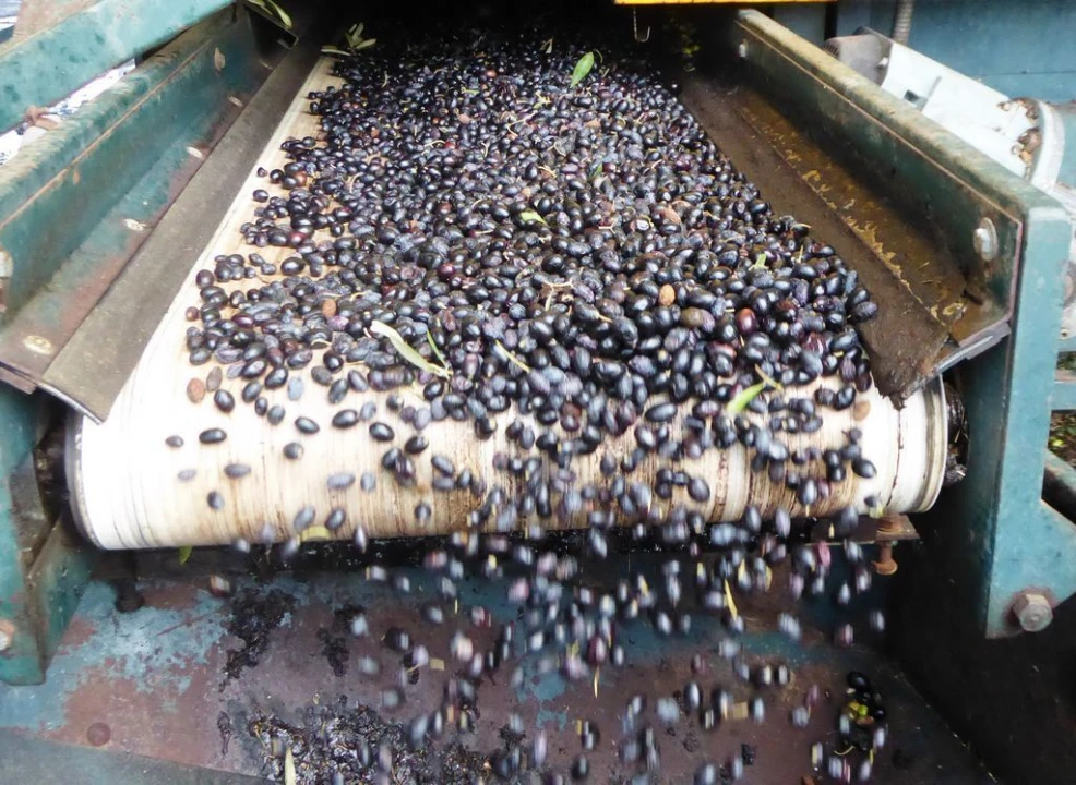 Negócio para Venda em Castelo Branco Foto 4