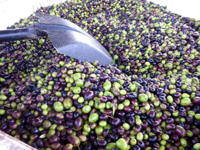 Negócio para Venda em Castelo Branco Foto 5