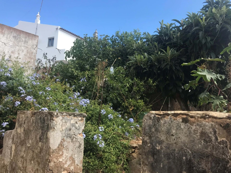 Terreno para Venda em Luz Foto 24