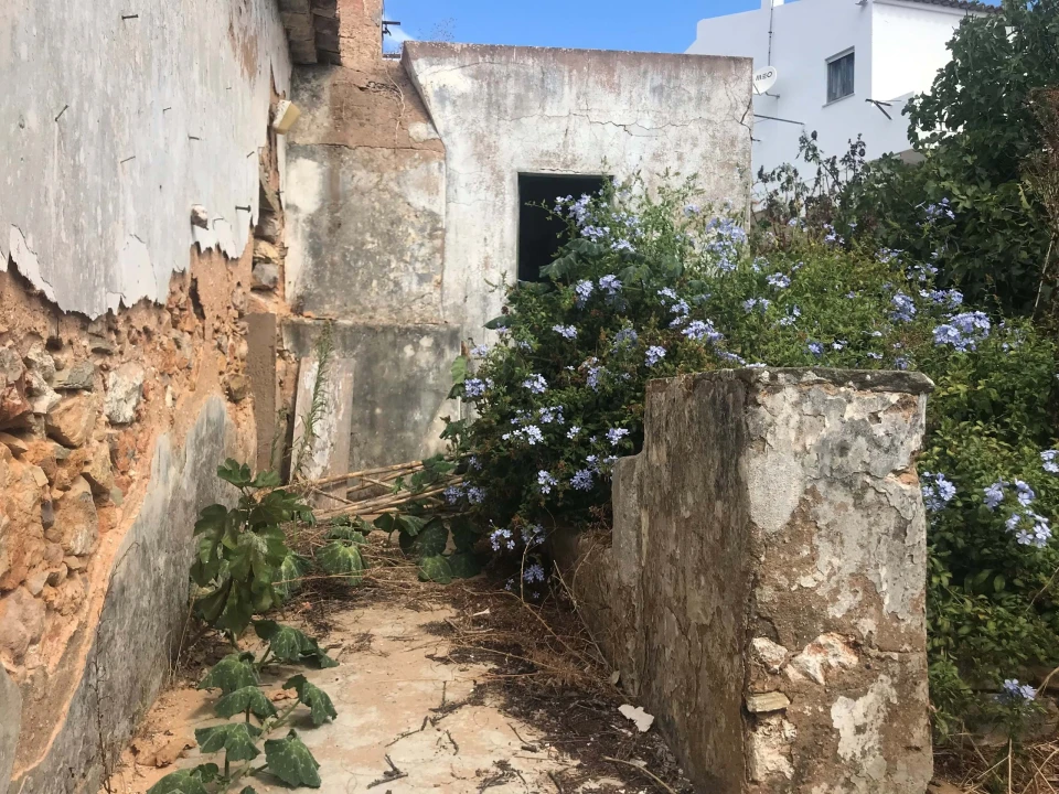 Terreno para Venda em Luz Foto 23