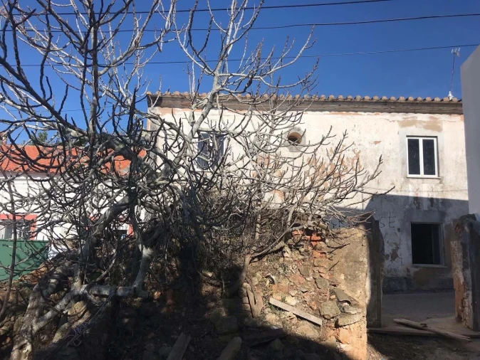 Terreno para Venda em Luz Foto 11