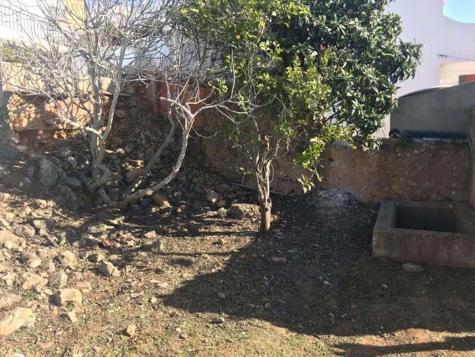 Terreno para Venda em Luz Foto 17