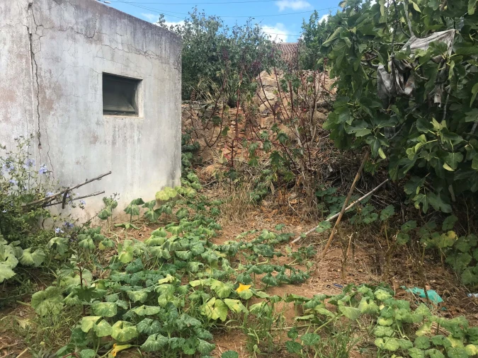 Terreno para Venda em Luz Foto 14