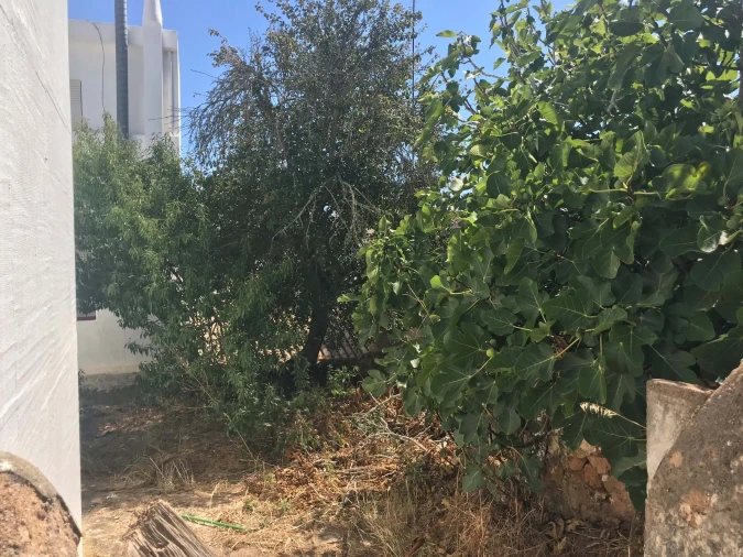 Terreno para Venda em Luz Foto 16