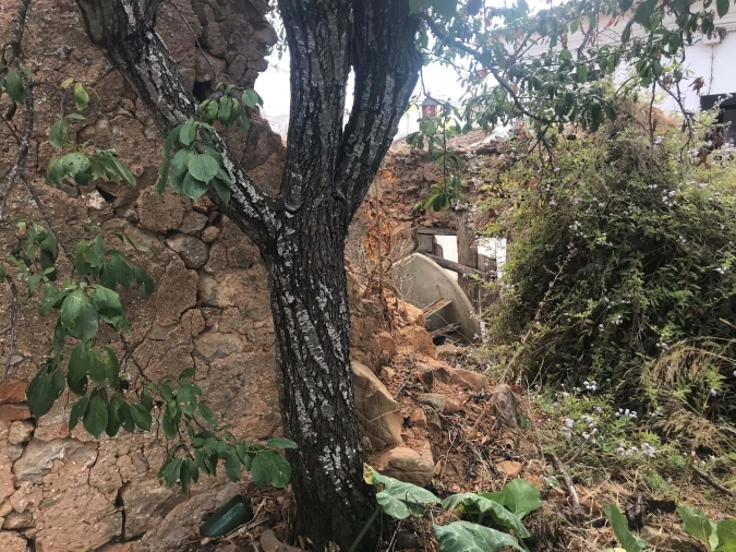 Terreno para Venda em Luz Foto 22