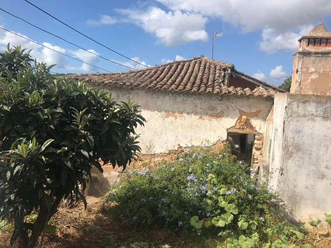 Terreno para Venda em Luz Foto 21