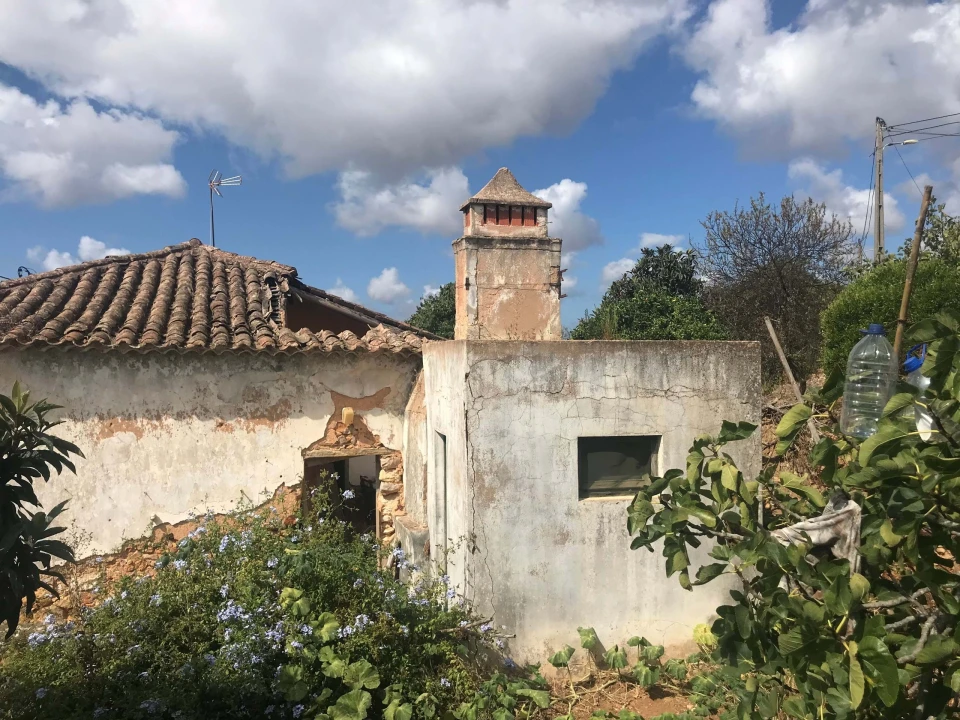 Terreno para Venda em Luz Foto 4