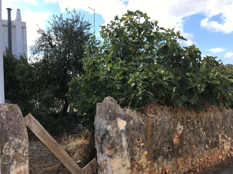 Terreno para Venda em Luz Foto 26