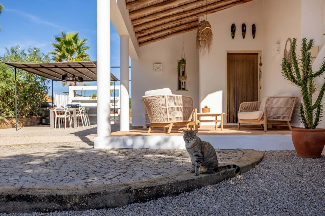 Quinta T3 para Venda em Santa Catarina da Fonte do Bispo Foto 8