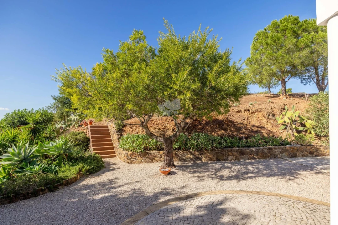 Quinta T3 para Venda em Santa Catarina da Fonte do Bispo Foto 27