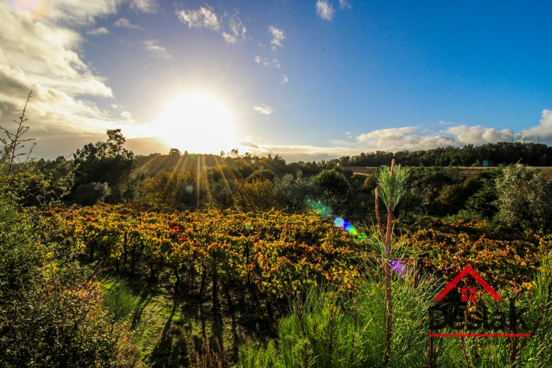 Quinta T3 para Venda em Parada de Gonta Foto 22