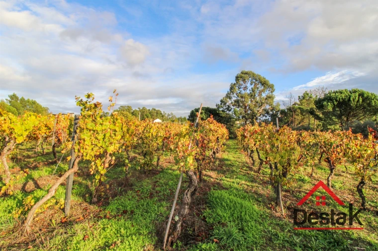 Quinta T3 para Venda em Parada de Gonta Foto 24