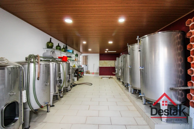 Quinta T3 para Venda em Parada de Gonta Foto 27