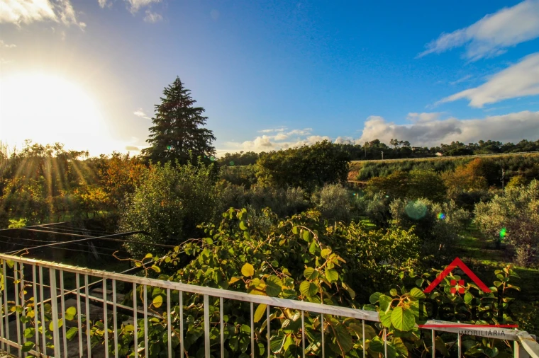 Quinta T3 para Venda em Parada de Gonta Foto 19