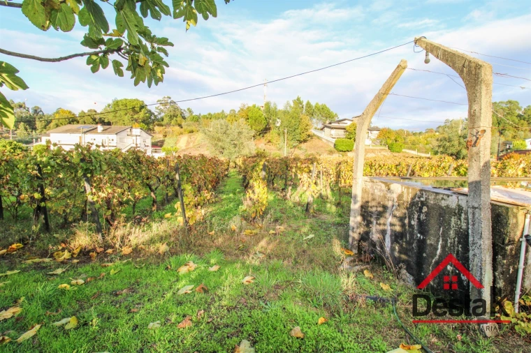 Quinta T3 para Venda em Parada de Gonta Foto 26