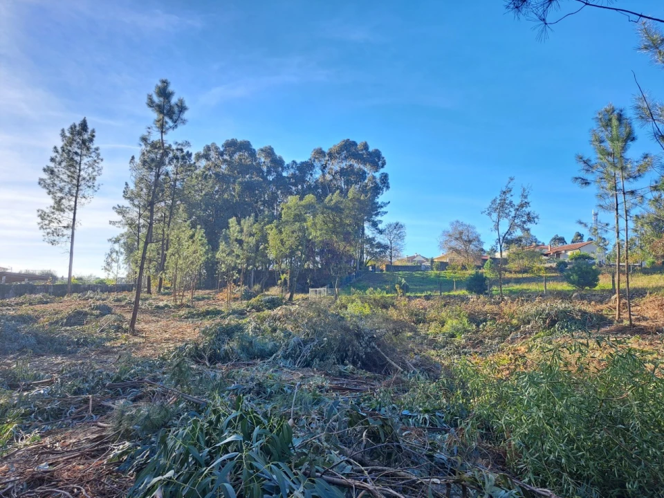 Terreno para Venda em Forjães Foto 1