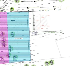 Terreno para Venda em Forjães
