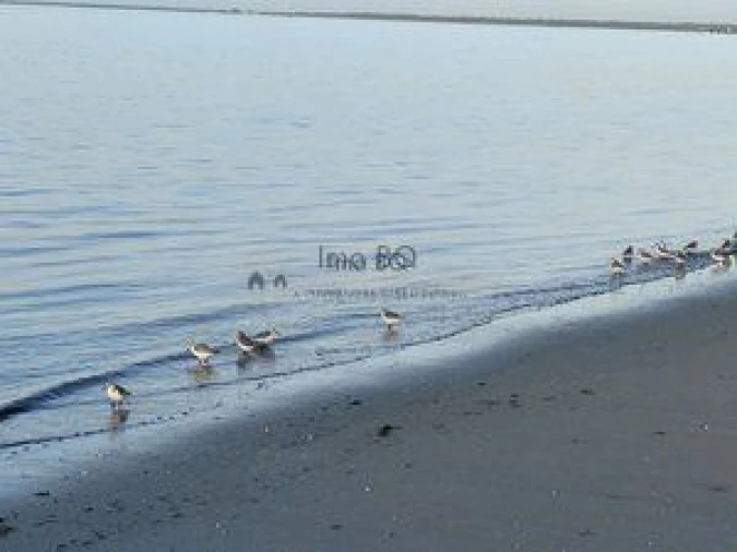 Moradia T3 para Arrendamento em Alcochete Foto 42