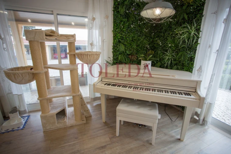 Quinta T3 para Venda em São João das Lampas e Terrugem Foto 5