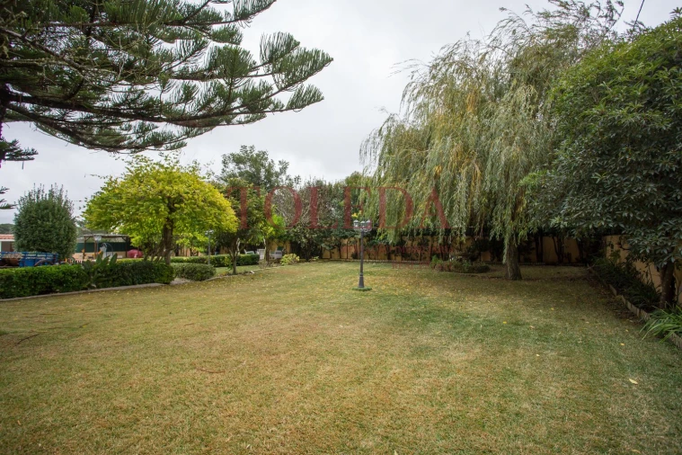 Quinta T3 para Venda em São João das Lampas e Terrugem Foto 8