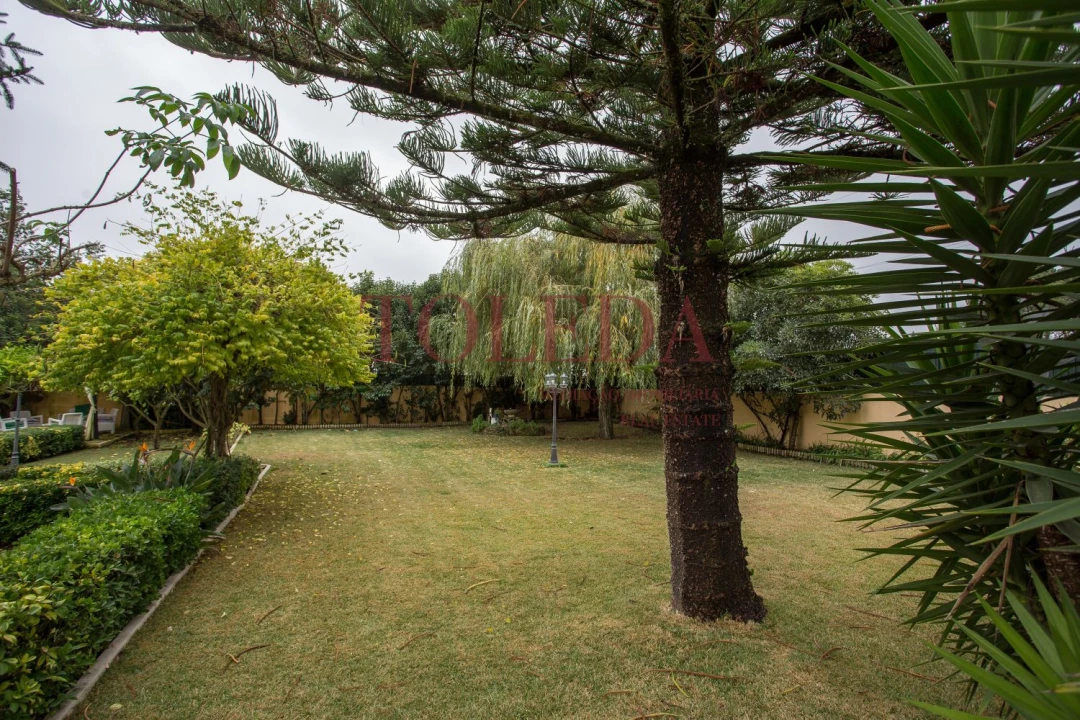 Quinta T3 para Venda em São João das Lampas e Terrugem Foto 15