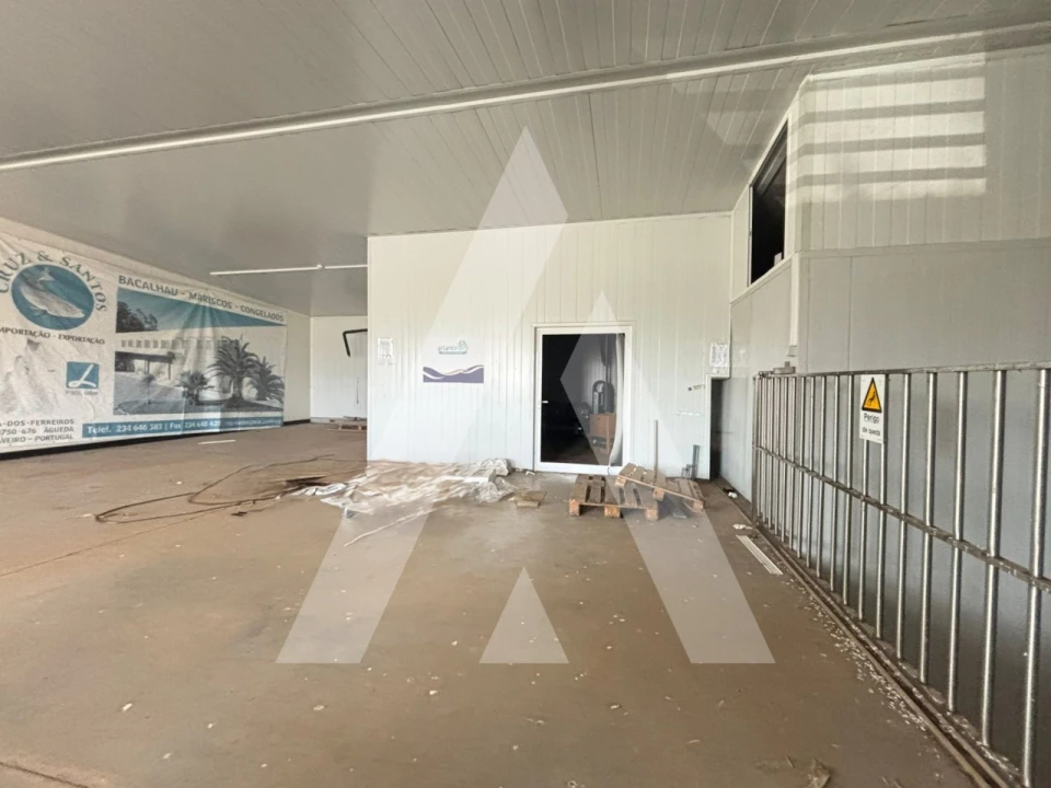 Armazém para Venda em Préstimo e Macieira de Alcoba Foto 11