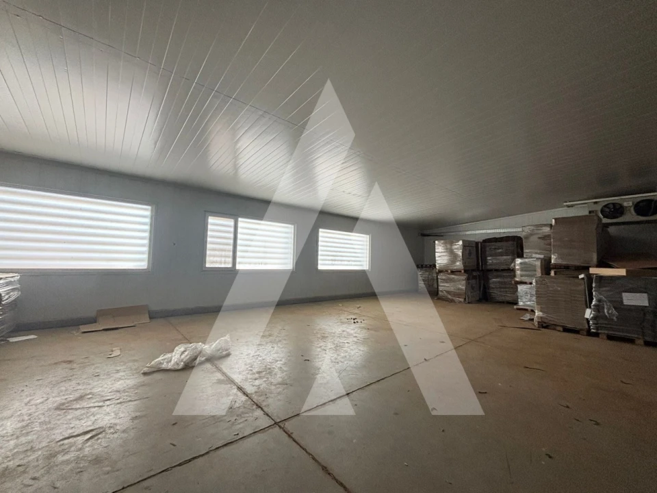 Armazém para Venda em Préstimo e Macieira de Alcoba Foto 16