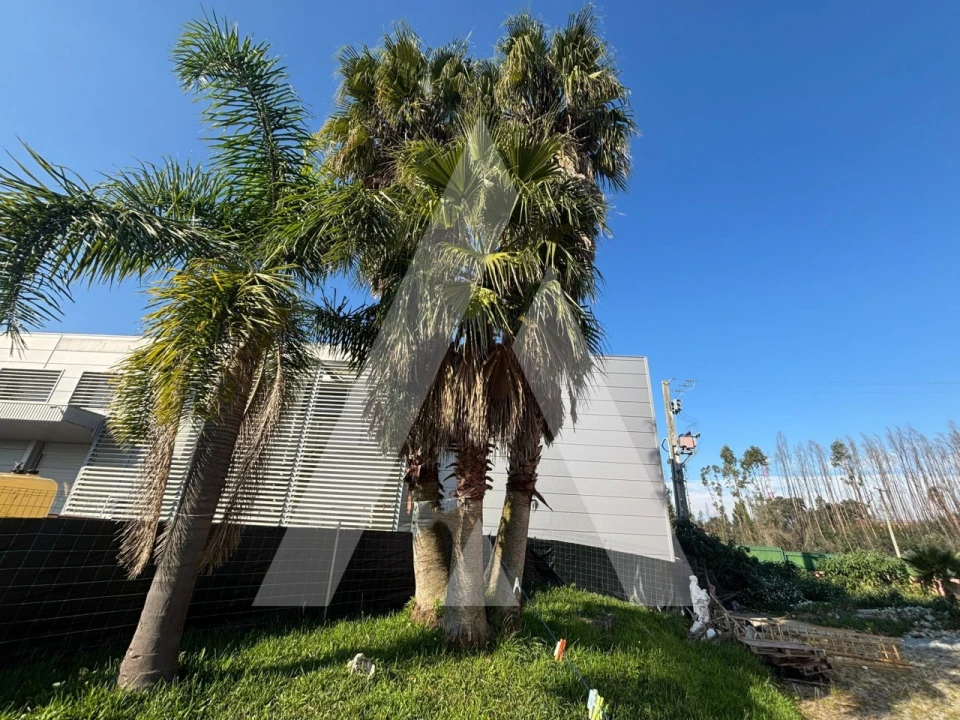 Armazém para Venda em Préstimo e Macieira de Alcoba Foto 41