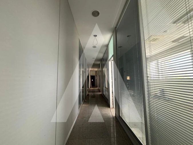 Armazém para Venda em Préstimo e Macieira de Alcoba Foto 6