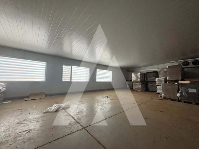 Armazém para Venda em Préstimo e Macieira de Alcoba Foto 16