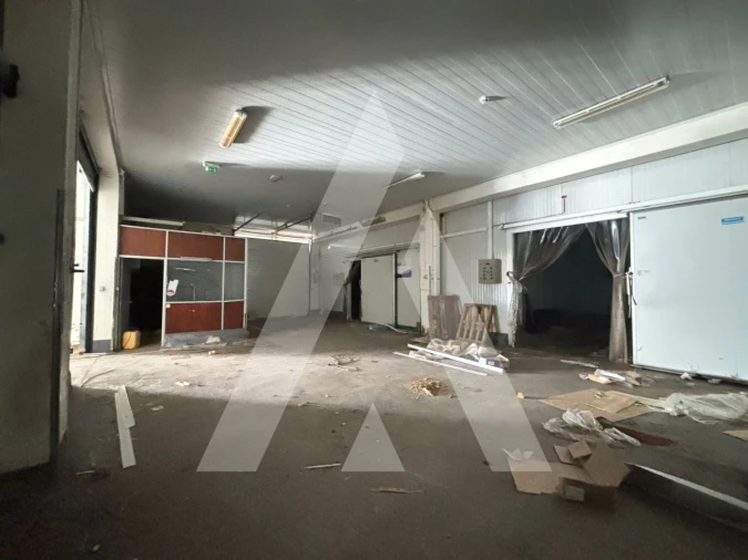 Armazém para Venda em Préstimo e Macieira de Alcoba Foto 21