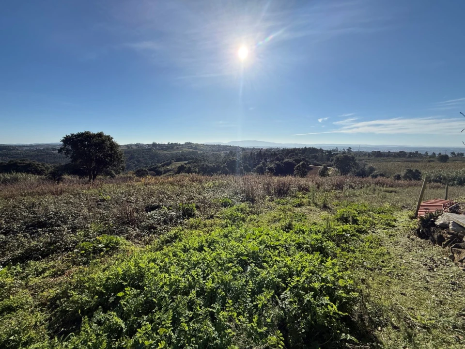 Terreno para Venda em Usseira Foto 20