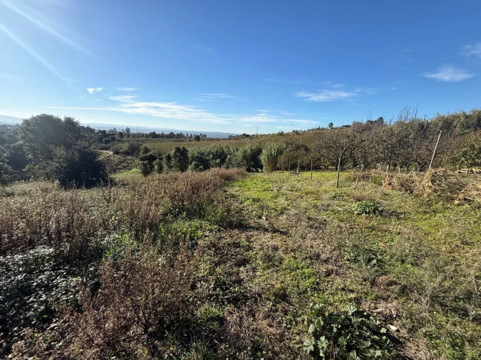 Terreno para Venda em Usseira Foto 10