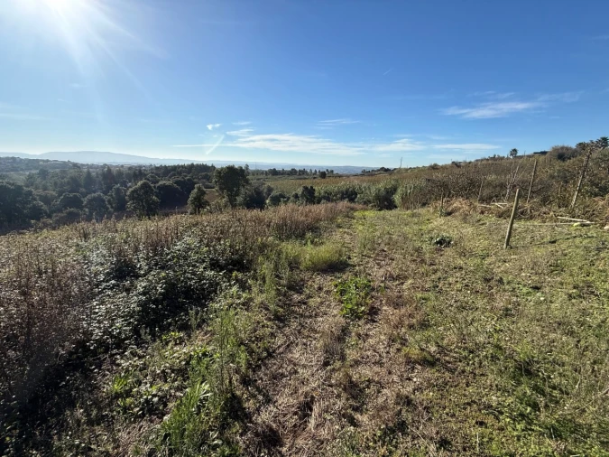 Terreno para Venda em Usseira Foto 17