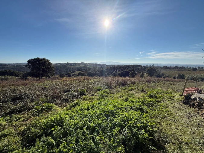 Terreno para Venda em Usseira Foto 20