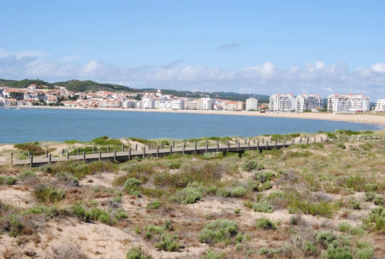 Moradia T3 para Venda em Caldas da Rainha - Santo Onofre e Serra do Bouro Foto 11