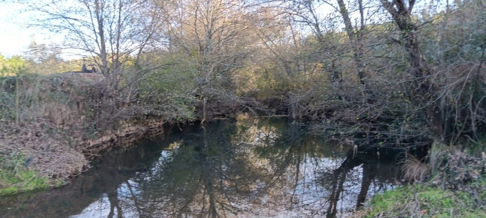 Terreno Agricola ou Rústico para Arrendamento em Envendos Foto 13
