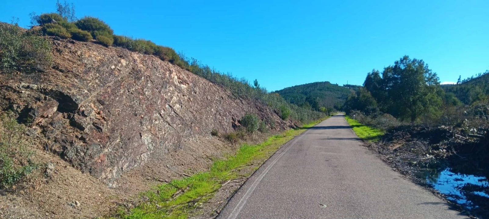 Terreno Agricola ou Rústico para Arrendamento em Envendos Foto 17