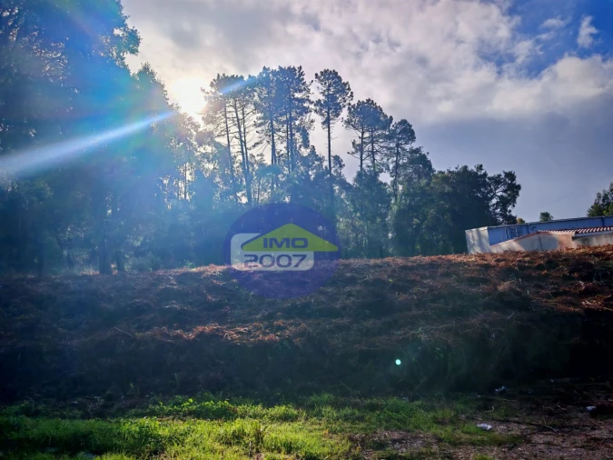 Terreno Agricola ou Rústico para Venda em Anta e Guetim Foto 2